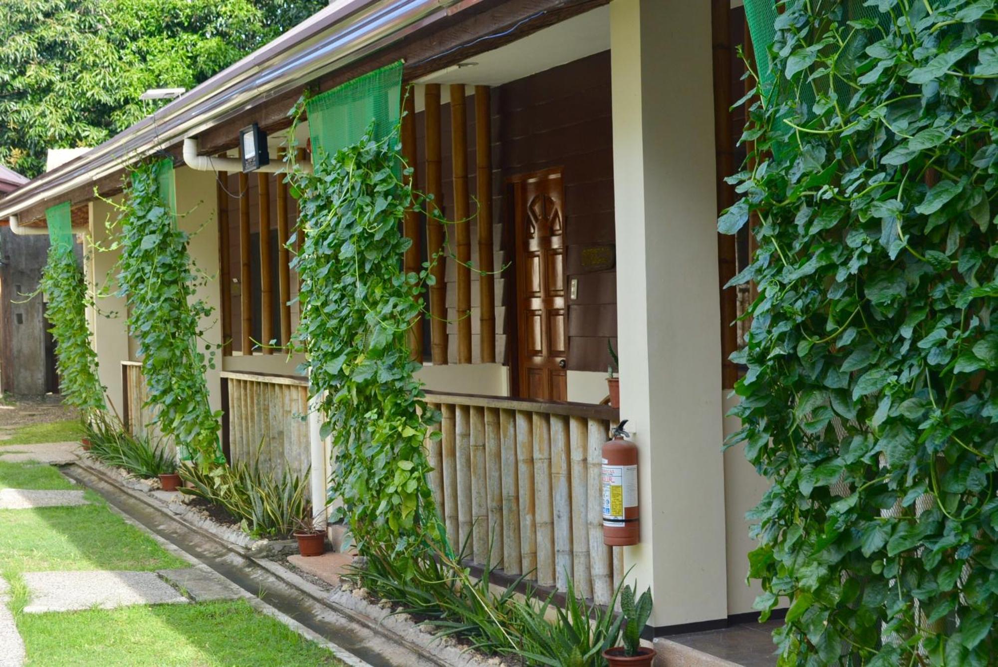 Chiisai Natsu Resort Bolod  외부 사진